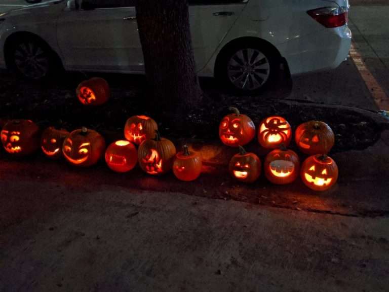 PXL_20211021_002840168-1024×768